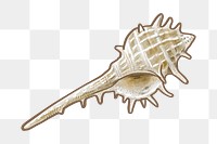 Conch  png illustration sticker, transparent background