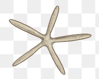 Starfish png illustration sticker, transparent background