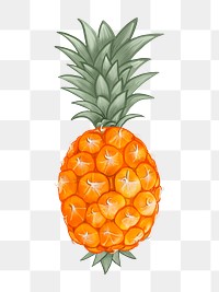 Whole fresh tropical pineapple illustration png illustration sticker, transparent background