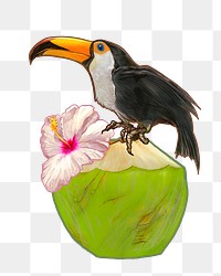 Toucan bird png illustration sticker, transparent background
