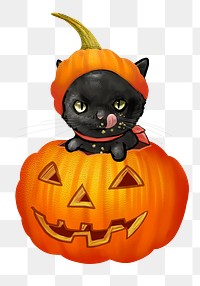 Cat in pumpkin png illustration sticker, transparent background