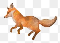 Fox wildlife png illustration sticker, transparent background