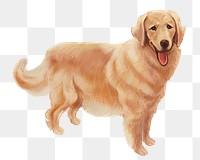 Golden Retriever png dog illustration sticker, transparent background