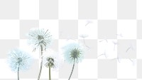 Dandelions flower png border, transparent background