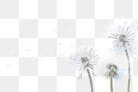 Dandelions flower png border, transparent background