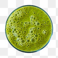 Matcha drink top view  png sticker, transparent background