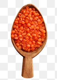 Red lentils on spoon png food sticker, transparent background