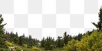 Pine forest png border, nature aesthetic image, transparent background