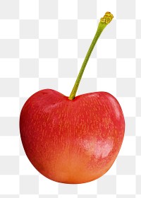 Cherry fruit png food sticker, transparent background