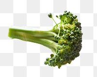 Broccoli vegetable png sticker, transparent background