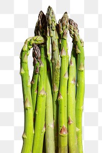 Asparagus vegetable png sticker, transparent background