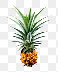 Pineapple fruit  png sticker, transparent background