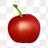 Png apple fruit sticker, transparent background