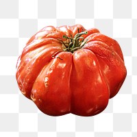 Tomato vegetable png sticker, transparent background