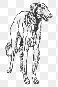 Png Russian hound dog sticker, black & white illustration, transparent background