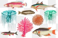 Exotic fish  png sticker set, transparent background