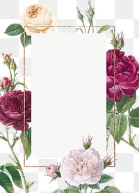 Flower frame png, transparent background