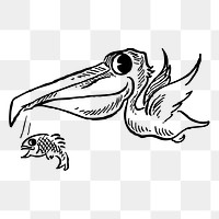 Pelican png  illustration, transparent background. Free public domain CC0 image.