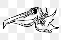 Pelican png  illustration, transparent background. Free public domain CC0 image.