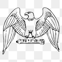 Eagle png  illustration, transparent background. Free public domain CC0 image.