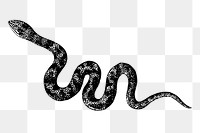 Snake png sticker, transparent background. Free public domain CC0 image.