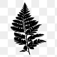 Leaf png sticker, transparent background. Free public domain CC0 image.