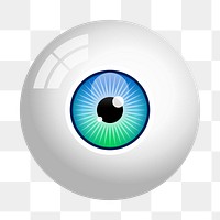 Eyeball png sticker, transparent background. Free public domain CC0 image.