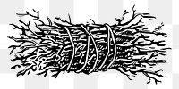 Branch bundle png illustration, transparent background. Free public domain CC0 image.