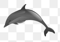 Dolphin png illustration, transparent background. Free public domain CC0 image.