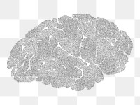 Human brain png sticker, transparent background. Free public domain CC0 image.