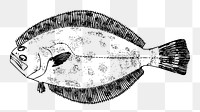 PNG Flounder fish clipart, transparent background. Free public domain CC0 image.