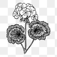 Flower png sticker, transparent background. Free public domain CC0 image.