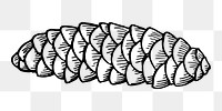 PNG Conifer cone clipart, transparent background. Free public domain CC0 image.