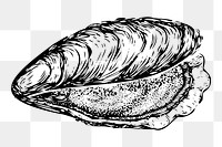 PNG Oyster clipart, transparent background. Free public domain CC0 image.