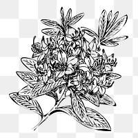 Flower png sticker, transparent background. Free public domain CC0 image.