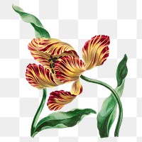 Yellow exotic flower png sticker, transparent background