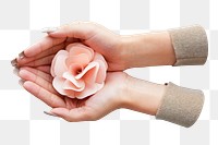 Pink flower png, feminine hand holding and cupping paper craft decoration in transparent background