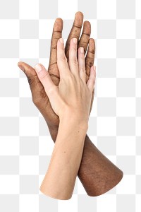 PNG hands together, diversity in love in transparent background