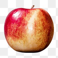 Png apple fruit sticker, transparent background