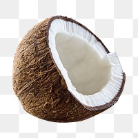 Coconut fruit png sticker, transparent background