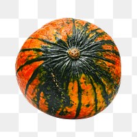 Pumpkin png fruit sticker, transparent background