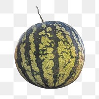 Watermelon png fruit sticker, transparent background