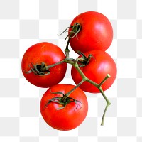 Red cherry tomatoes png vegetable sticker, transparent background
