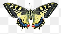 Yellow butterfly png sticker, transparent background