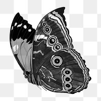 Black butterfly png sticker, vintage insect on transparent background. Remixed from the artwork of E.A. Séguy.