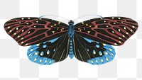 Pink png blue butterfly sticker, exotic insect on transparent background. E.A. Séguy's artwork remixed by rawpixel