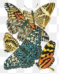 E.A. S&eacute;guy's png butterfly sticker, vintage insect set on transparent background.  Remixed by rawpixel