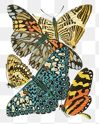 E.A. Séguy's png butterfly sticker, vintage insect set on transparent background.  Remixed by rawpixel