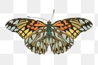 E.A. S&eacute;guy's butterfly png sticker, vintage insect on transparent background. Remixed by rawpixel