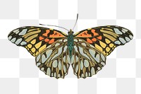 E.A. Séguy's butterfly png sticker, vintage insect on transparent background. Remixed by rawpixel